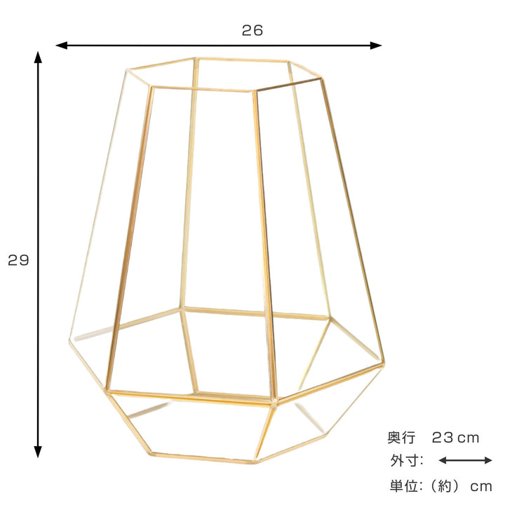 花瓶ビッグフレームボトル