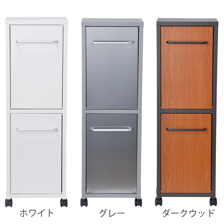 ゴミ箱40L20L×2分別トラッシュダブル