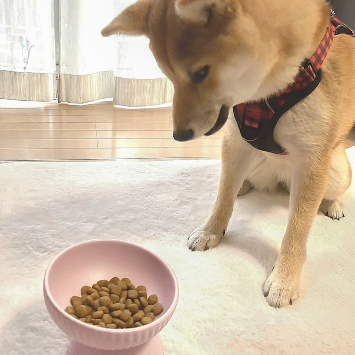 フードボウル犬猫高さがある陶器ペット