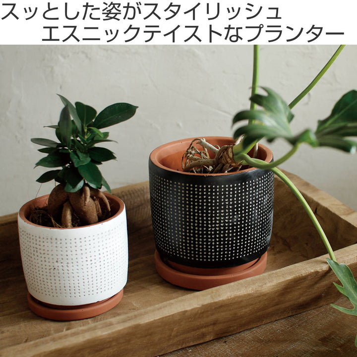 植木鉢ドットプランターホワイトSサイズ