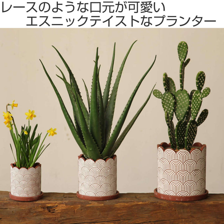 植木鉢ホワイトラインプランターSサイズ