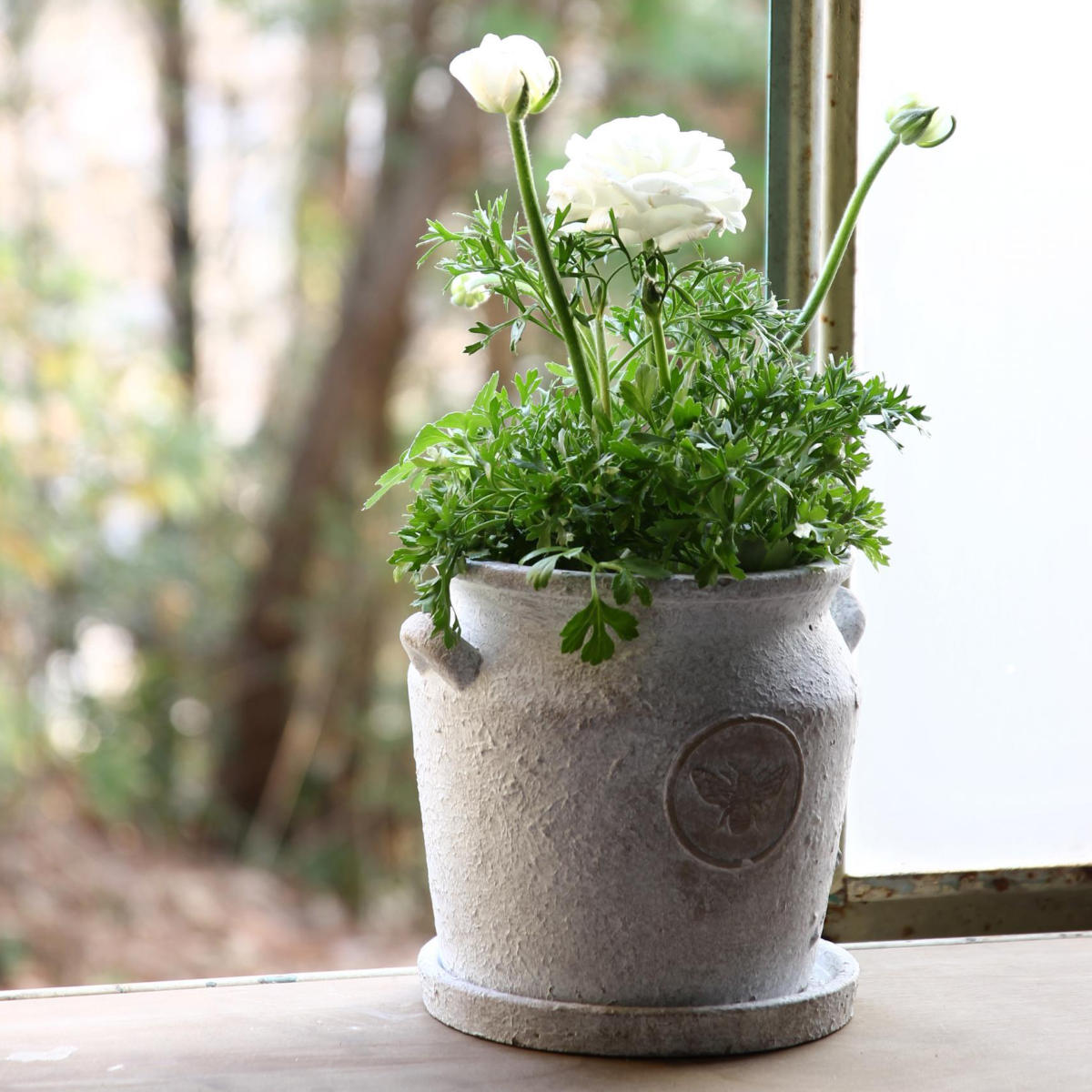 植木鉢 HONEYBEE ミルクポットプランター Sサイズ – ハウジー