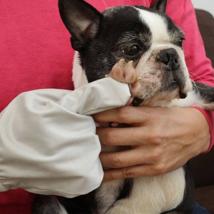 お顔すっきりグローブ2枚組ペット用お手入れ手袋犬