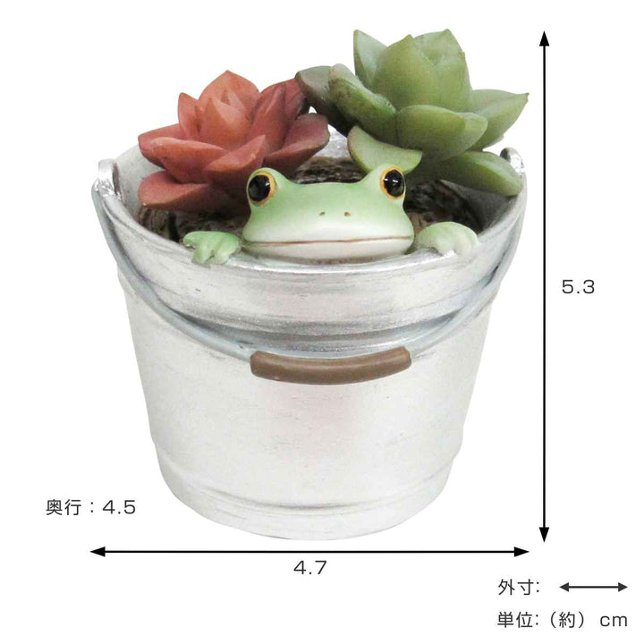 コポー多肉植物とカエルカエル置物