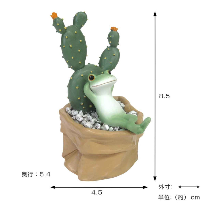 コポーウチワサボテンとカエルカエル置物