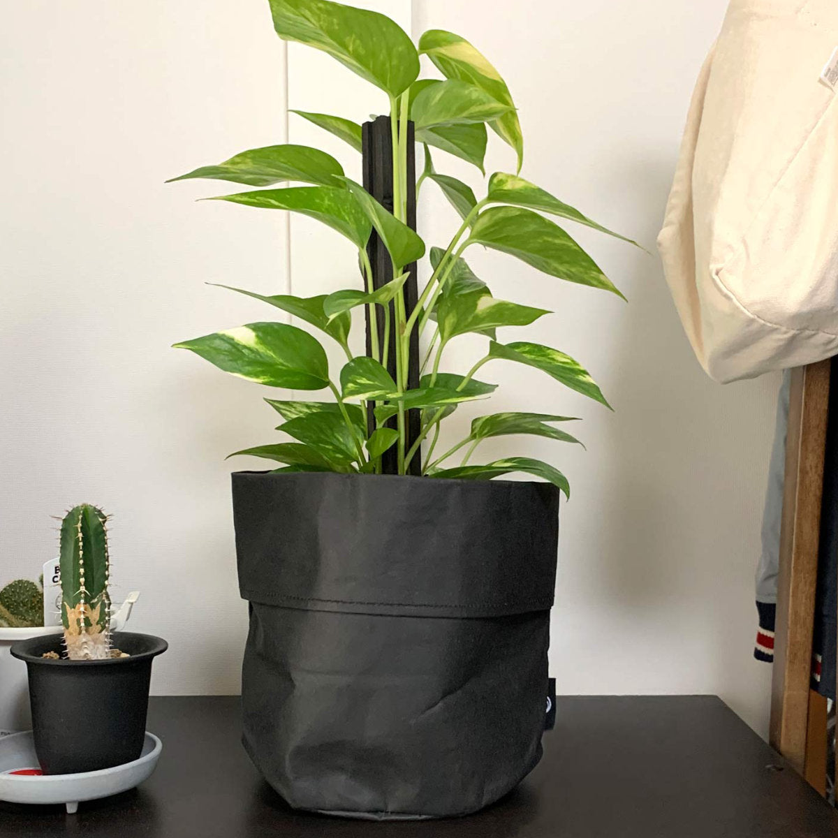 鉢カバー確認用 鉢カバー プランターカバー Mサイズ ペーパー 直径20cm – ハウジー