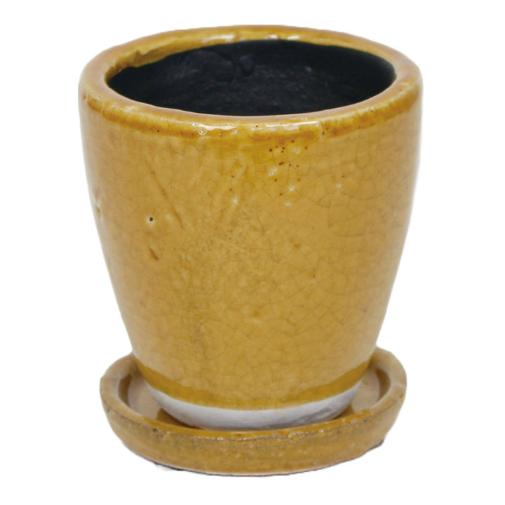 キャメルブラウン