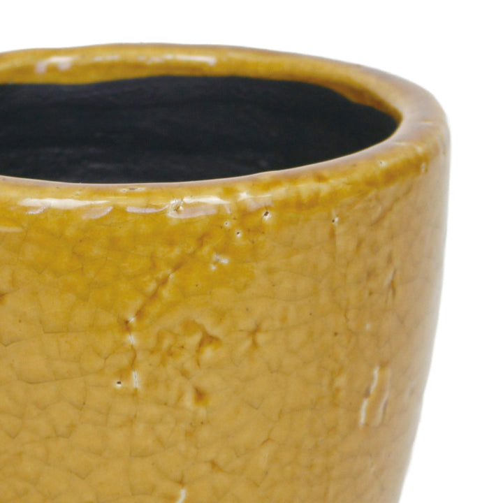 植木鉢キュリオポットM5号