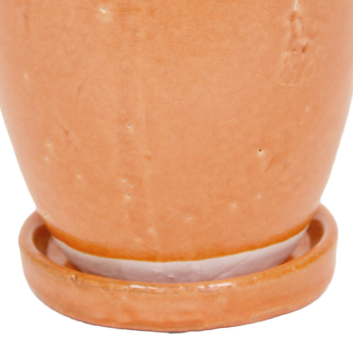 植木鉢キュリオポットM5号