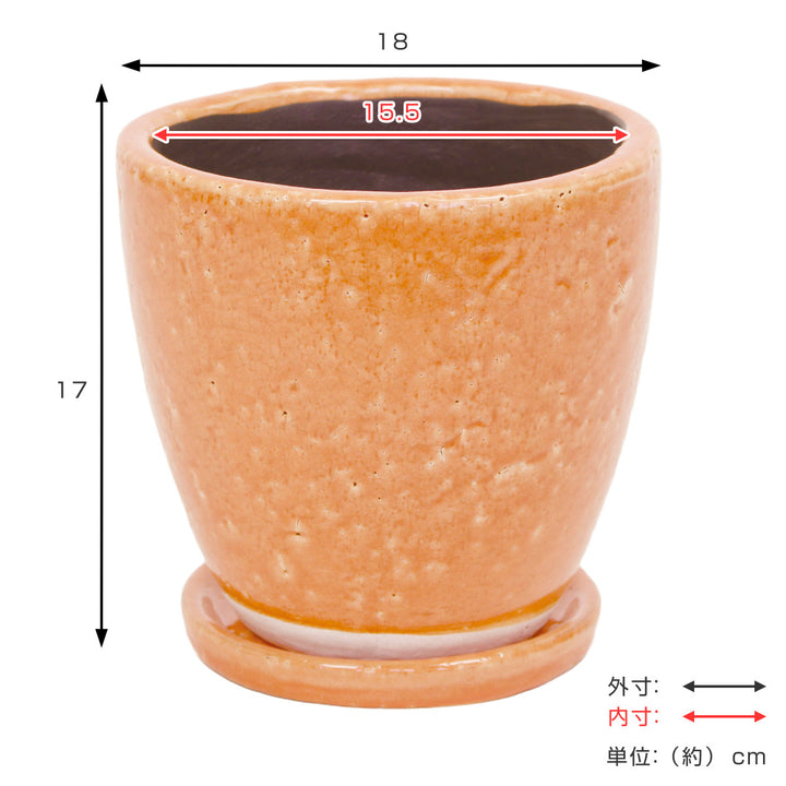 植木鉢キュリオポットL6号