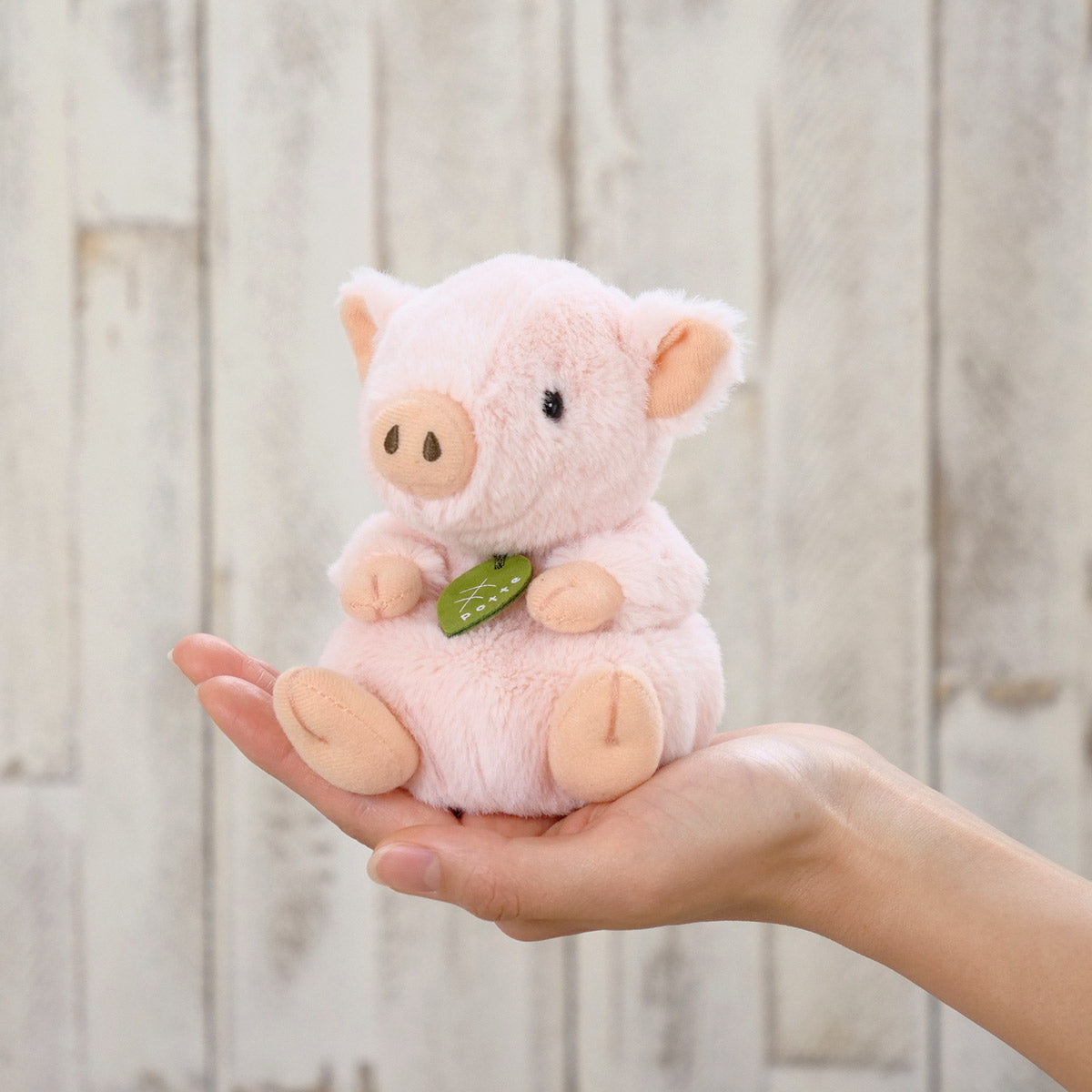 ぬいぐるみ potte ブタ – ハウジー