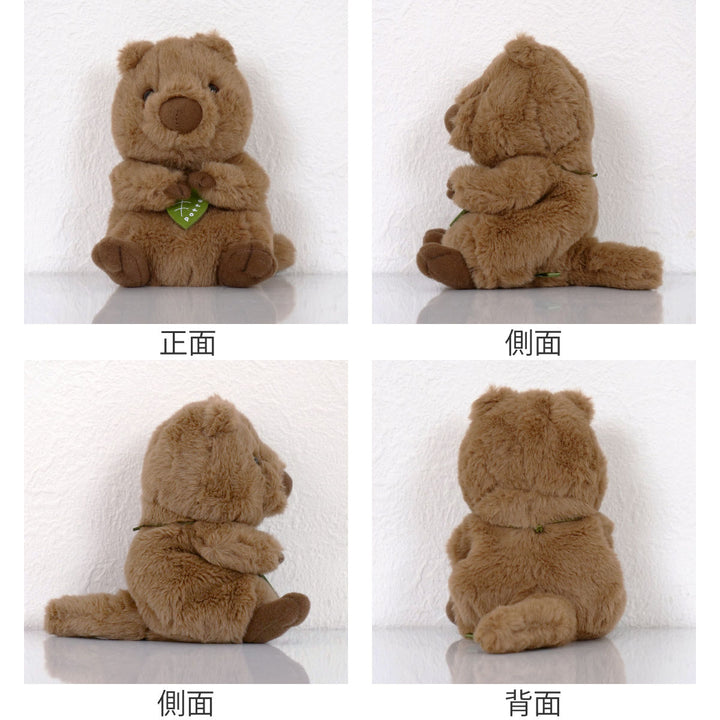 ぬいぐるみpotteクアッカワラビー