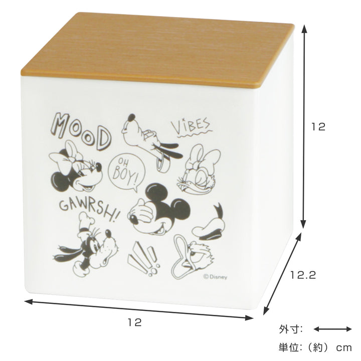 箱型ティッシュケースミッキーマウスフタ付日本製