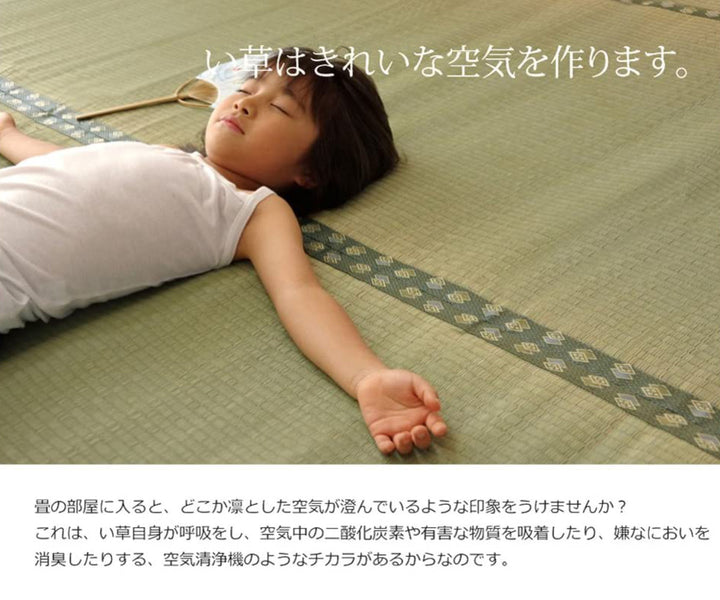 上敷き純国産い草カーペット双目織『松』三六間8畳約364×364cm