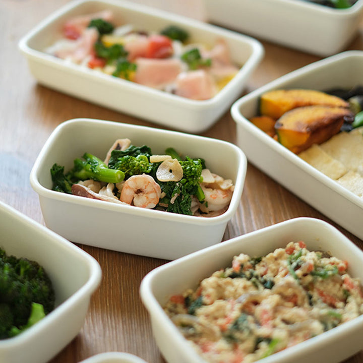 保存容器500ml野田琺瑯ホワイトシリーズレクタングル深型Sシール蓋付きWRF-S