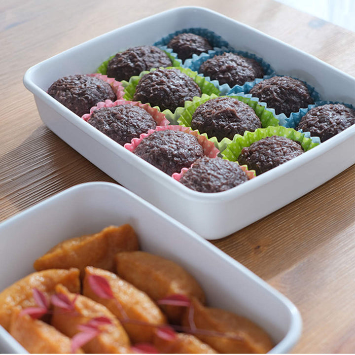 保存容器2.4L野田琺瑯ホワイトシリーズレクタングル浅型Lシール蓋付きWRA-L