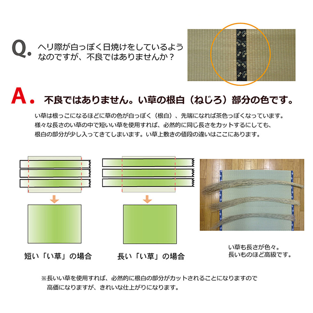 い草 カーペット 国産 上敷き 双目織 ほほえみ 江戸間4.5畳 約261×261cm