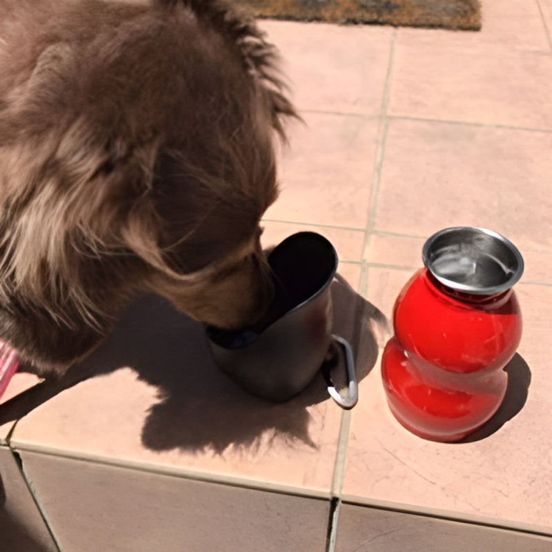 給水器ループステンレスボトルＬ750ml犬散歩ペット用
