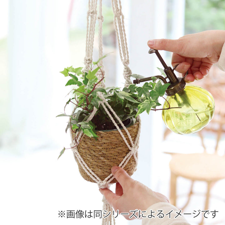 植木鉢マクラメハンギングポットクレイL直径12cm