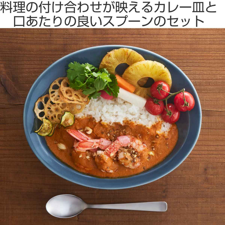 カレー皿スプーンセット25cm逸品窯陶磁器