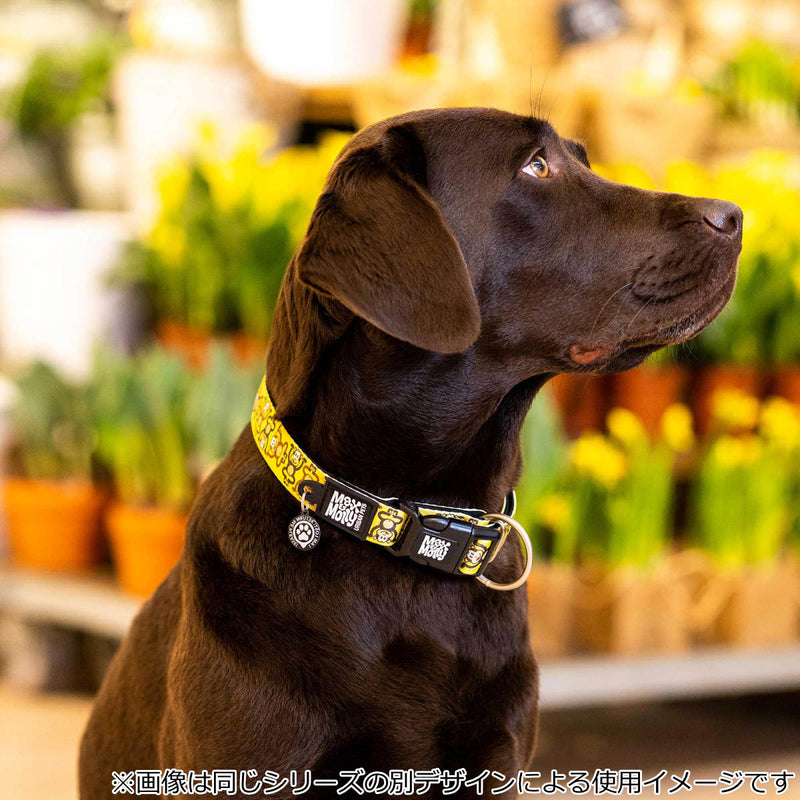 首輪小型犬Sマックス＆モーリー迷子札犬