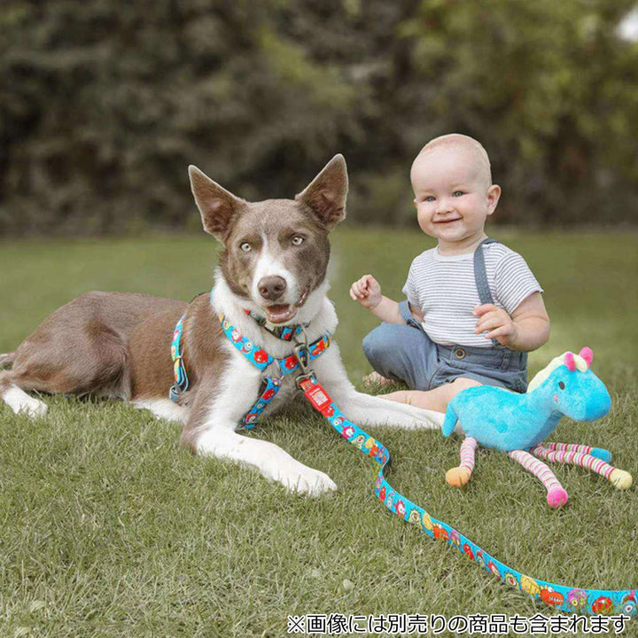 首輪小型犬Sマックス＆モーリー迷子札犬