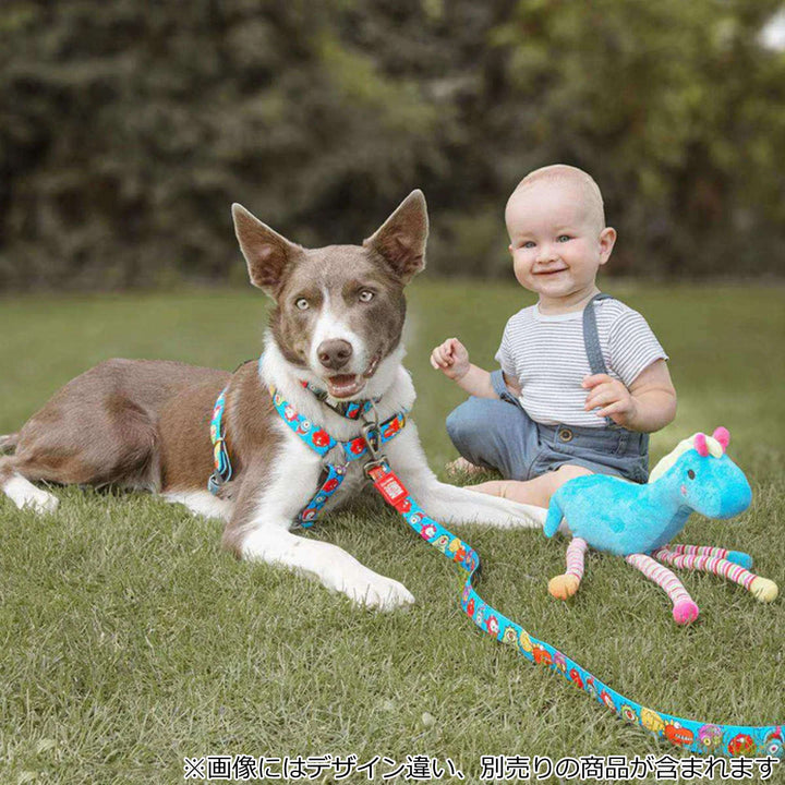 首輪小型犬Sマックス＆モーリー迷子札犬