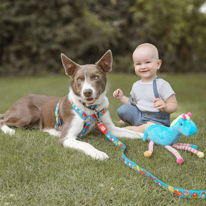 ハーネス小型犬中型犬Sマックス＆モーリー犬