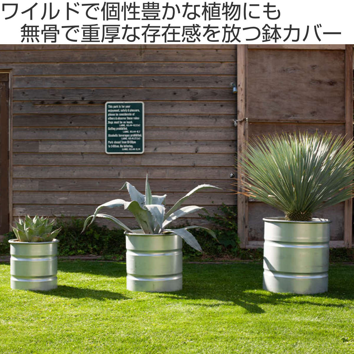 ダルトン 鉢 ガルバナイズド タンク L – ハウジー