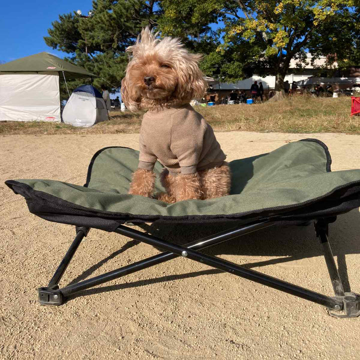 ペットベッドアウトドアペットコットM折りたたみ犬