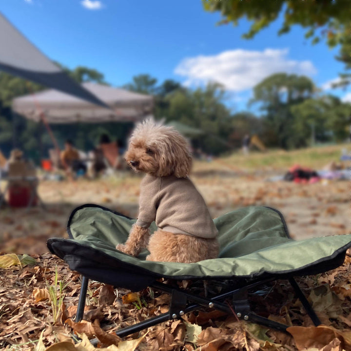 ペットベッドアウトドアペットコットM折りたたみ犬