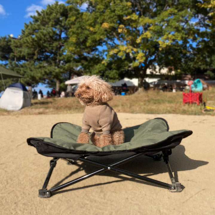 ペットベッドアウトドアペットコットL折りたたみ犬