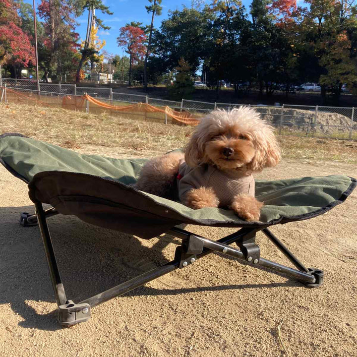 ペットベッドアウトドアペットコットL折りたたみ犬