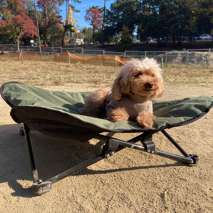 ペットベッドアウトドアペットコットL折りたたみ犬