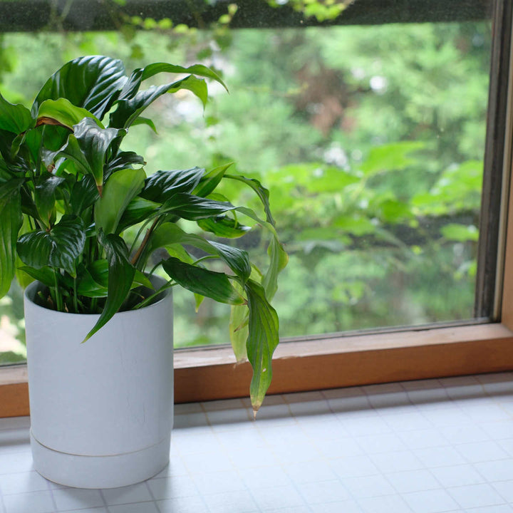 リメイクシート床用mtCASAfleece目地色タイル木目ナチュラル46cm×3mカビ防止剤配合