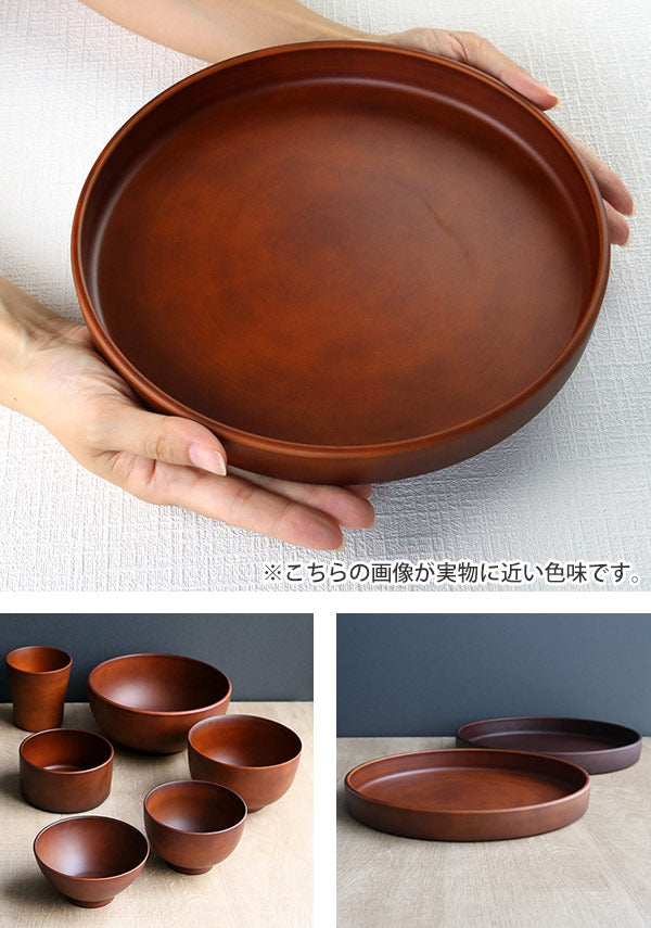 プレート 24cm SEE ディッシュプレート プラスチック 食器 皿 日本製 おしゃれ