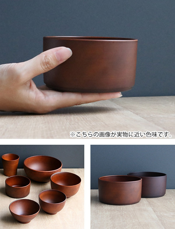 ボウル 420ml SEE ディッシュボウル プラスチック 食器 日本製
