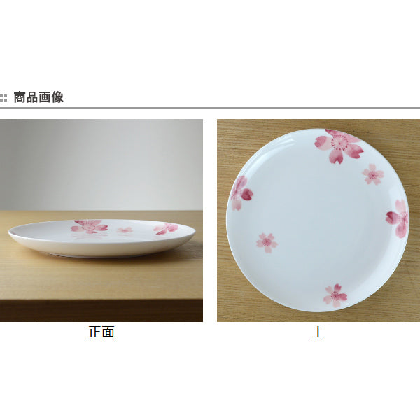 皿　桜　ラウンドプレート　23cm　ボーンチャイナ　食洗機対応