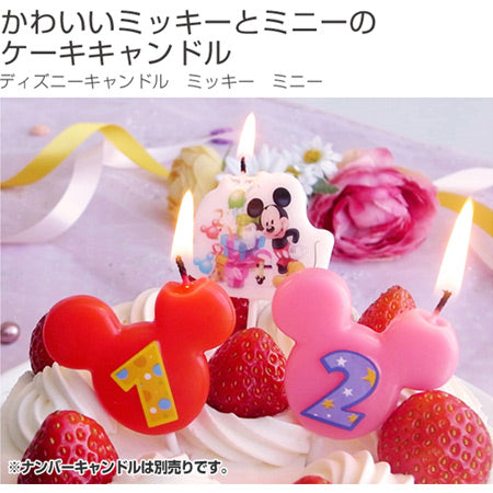 ディズニーキャンドル ミッキー ミニー お誕生日 – ハウジー
