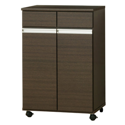 ゴミ箱 38L 2分別 カウンター型 幅55cm 完成品