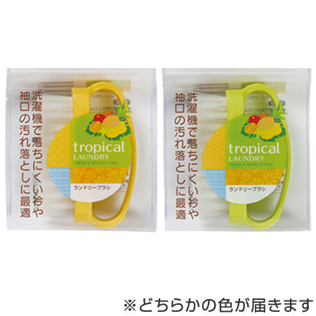 洗濯ブラシ　tropical　LAUNDRY　ランドリーブラシ